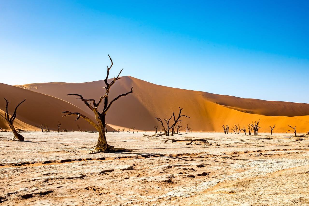 Drought