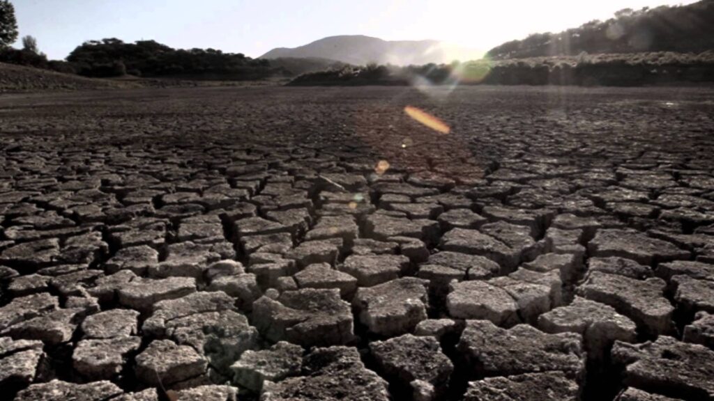 Natural Disaster Survival