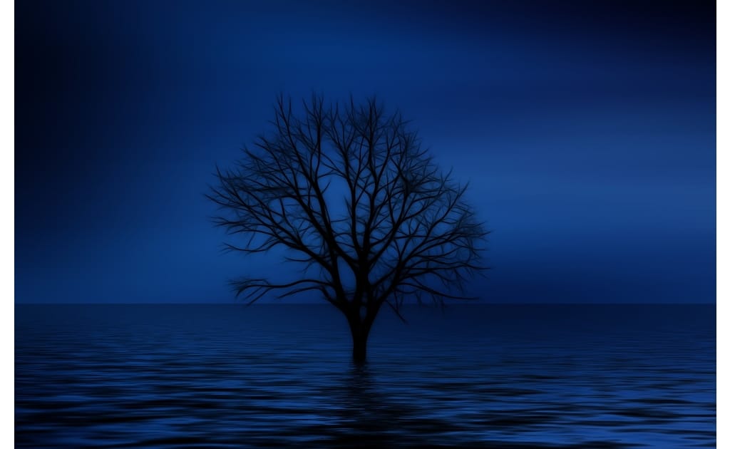 Survival Psychology Basics