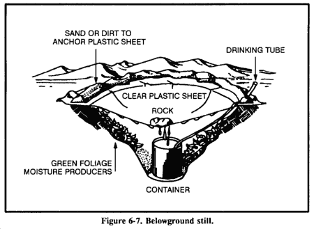 Belowground Still Water Survival