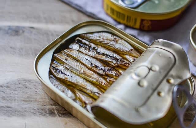 Tin of sardines