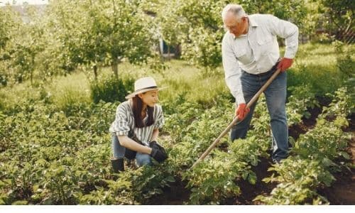 Gardening skills