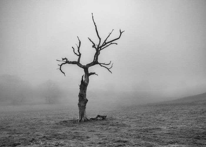 Isolation