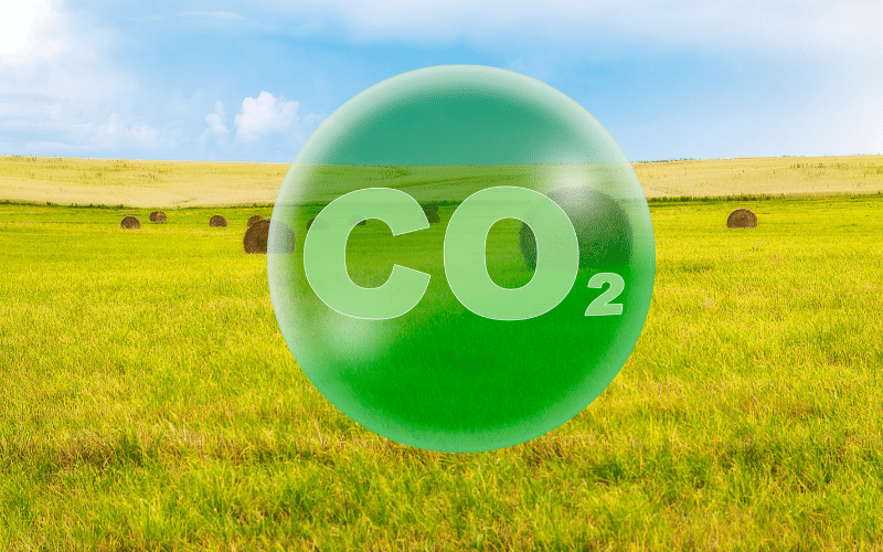 CO2 emissions