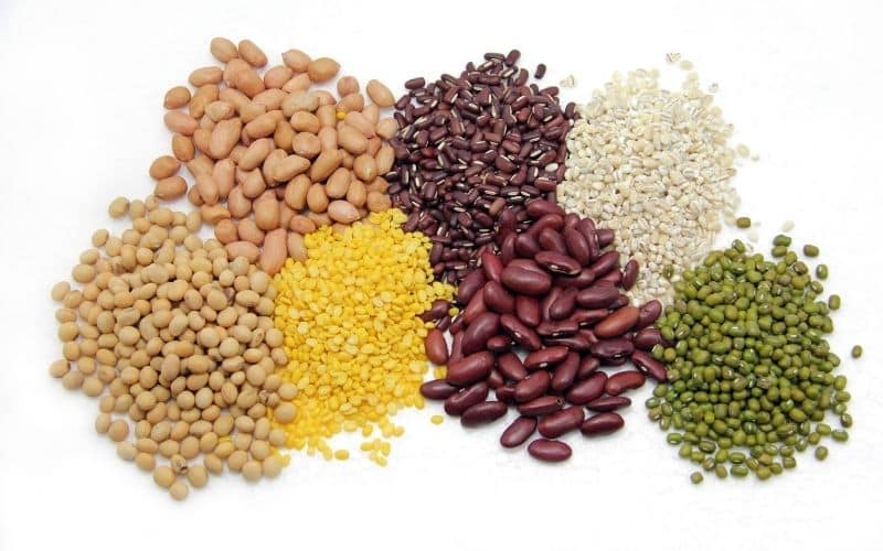 nuts seeds