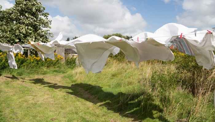 clothesline