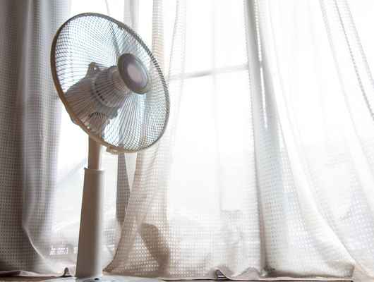 fan