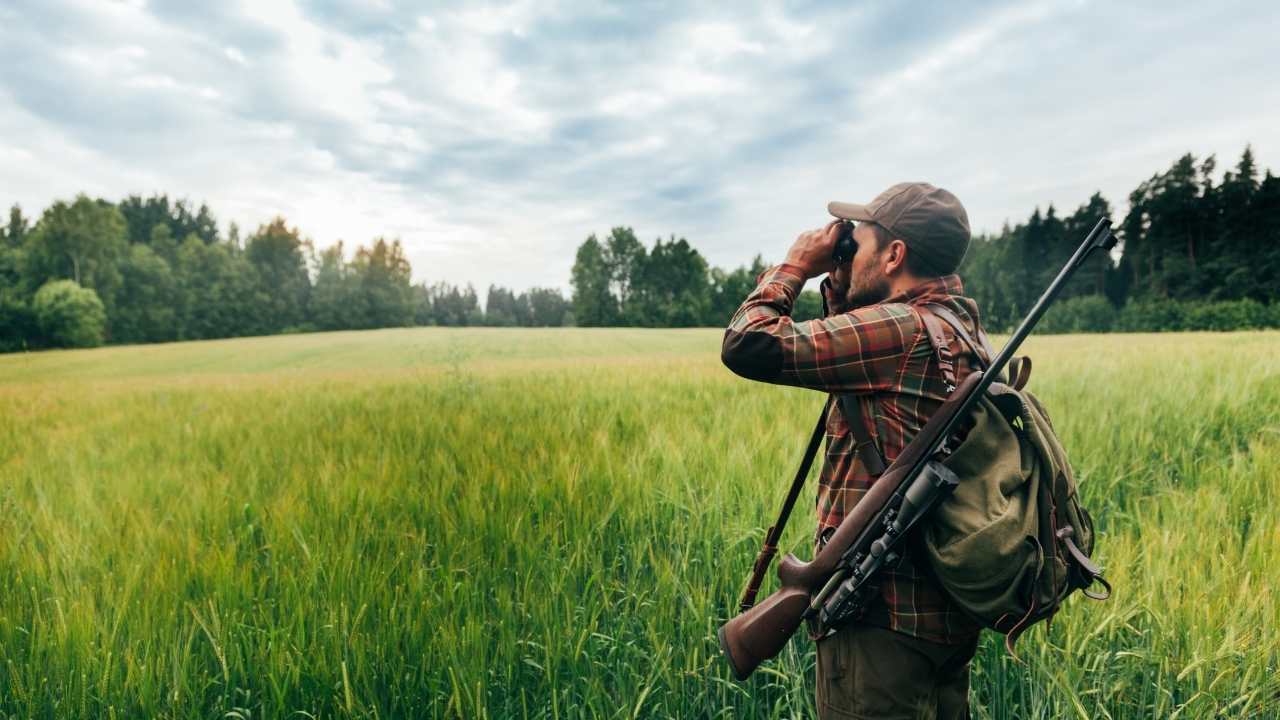 hunting