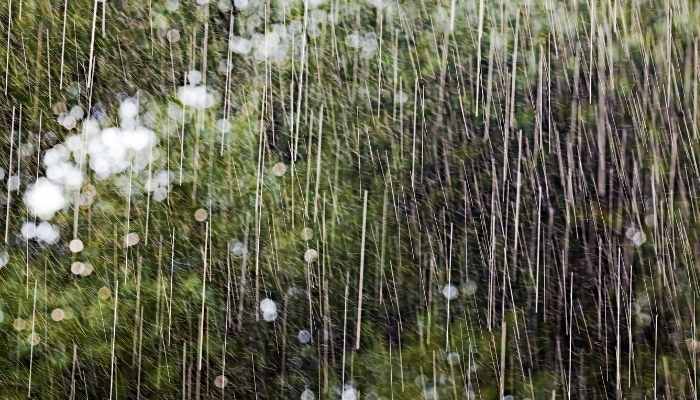 A downpour before a flood