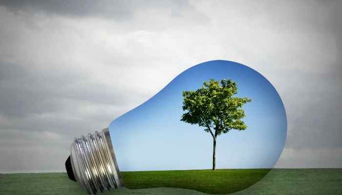 Environmentally friendly urban survival