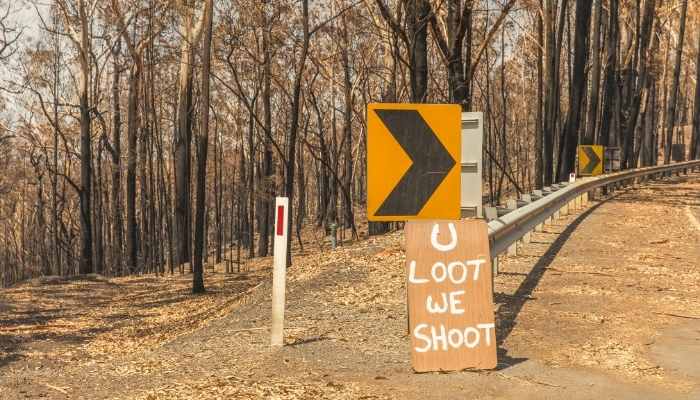 Looters