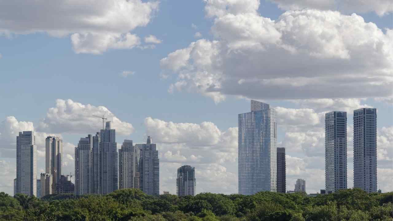 the urban jungle