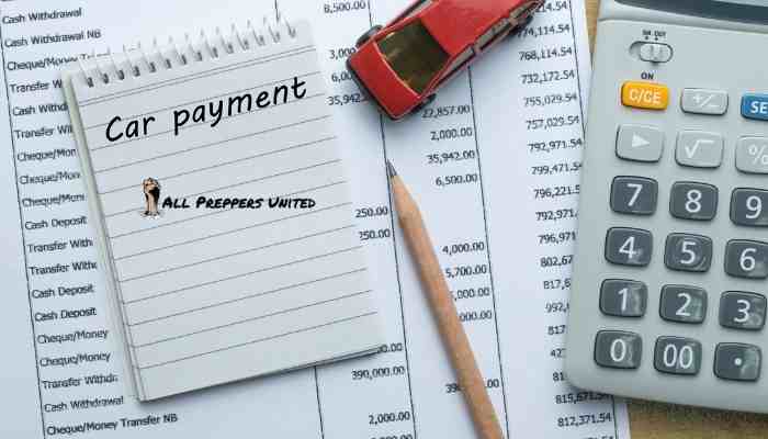 Cut Car payments
