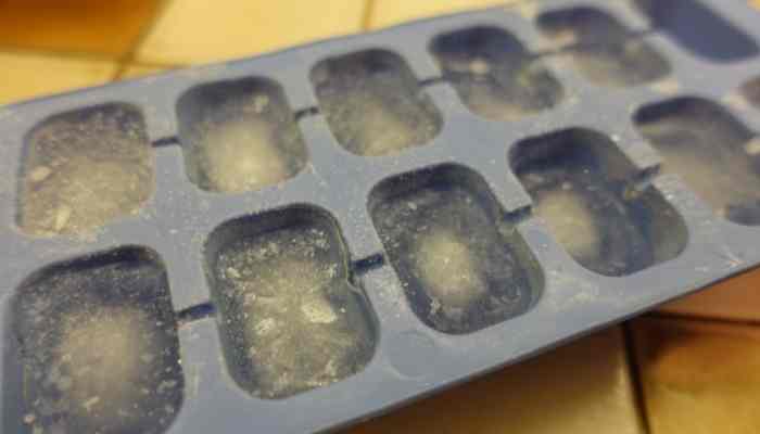 Ice cube tray