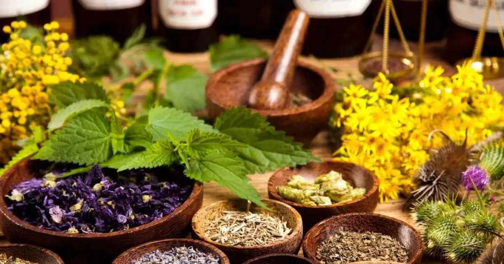 Medicinal Herbs For Preppers