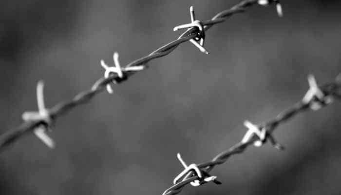 barbed wire