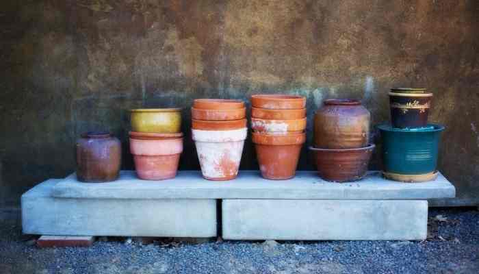 flower pots