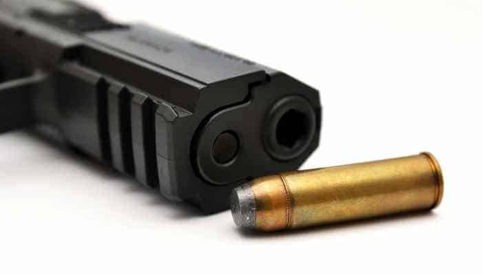 gun and ammunition