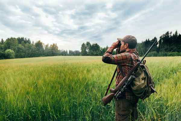 Learn how to hunt