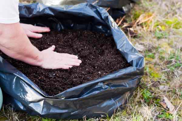potato grow bag