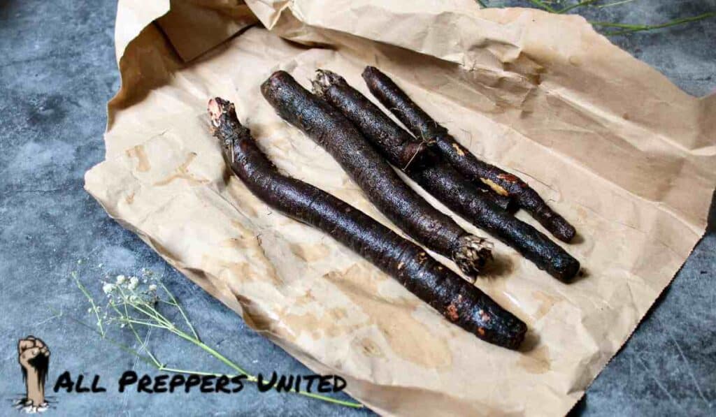 Forgotten Foods
