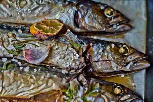 oily fish
