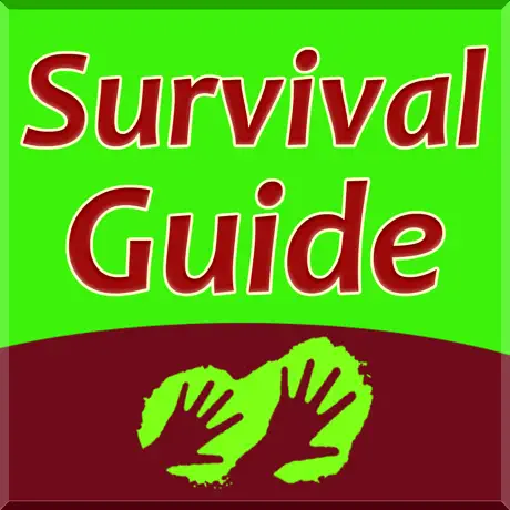 Best Survival Guide