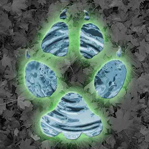 Critter Trax