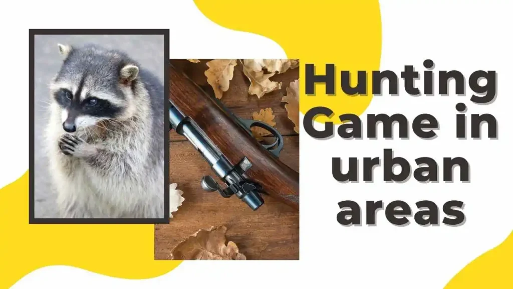 game can you hunt in urban areas