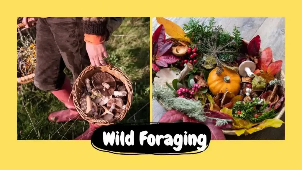Wild Foraging