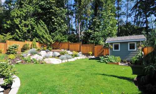 back yard