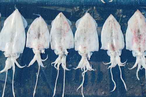 Food storage without refrigeration: dehydrating fish