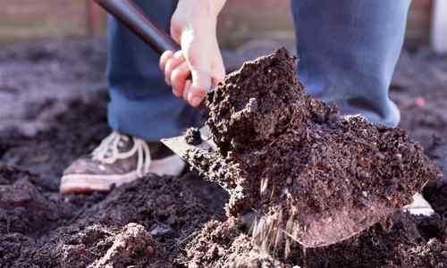 shovel