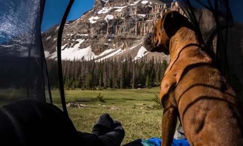 Winter Bug out: Sleeping bag & tent