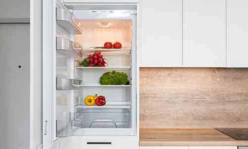 fridge