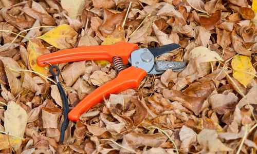 hand pruners