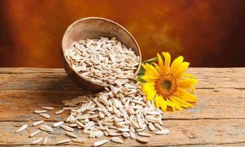 sunflower and seeds
