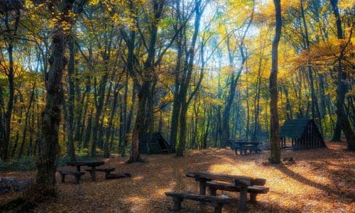 Best Survival Businesses: campground