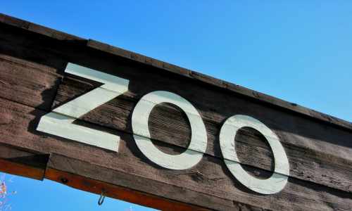 The zoo