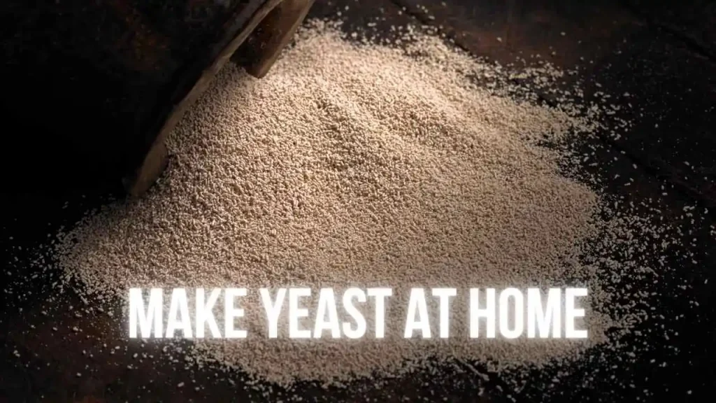How To Make Yeast At Home