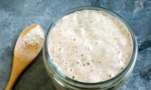 Sourdough starter