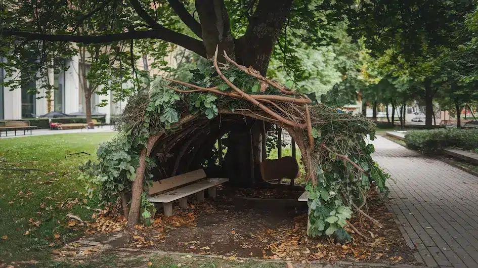 Building a shelter with natural materials