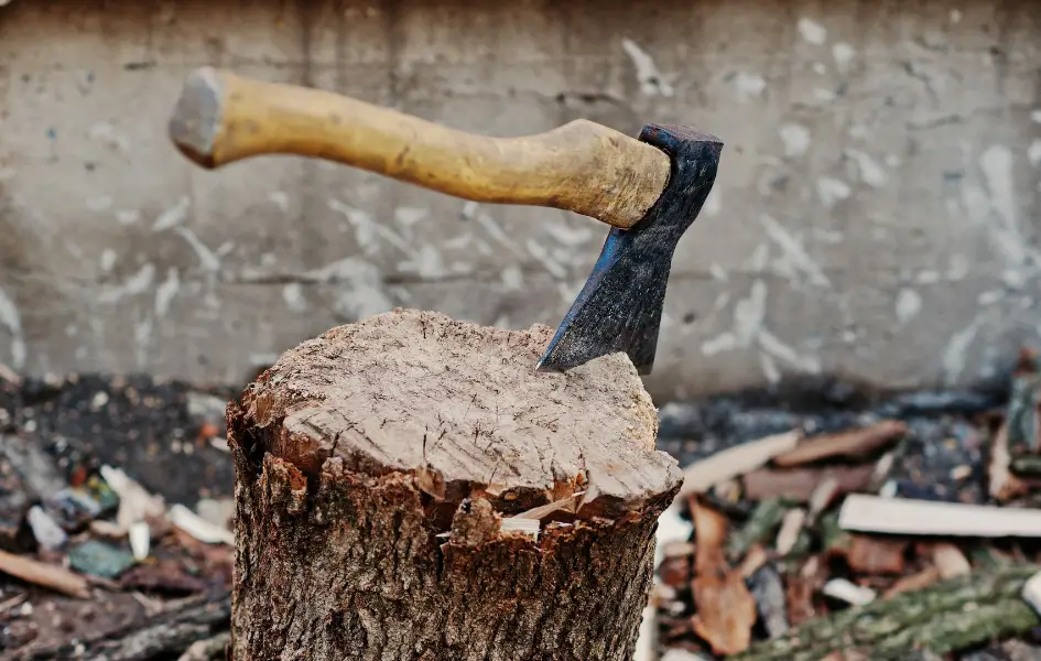 Cutting Firewood